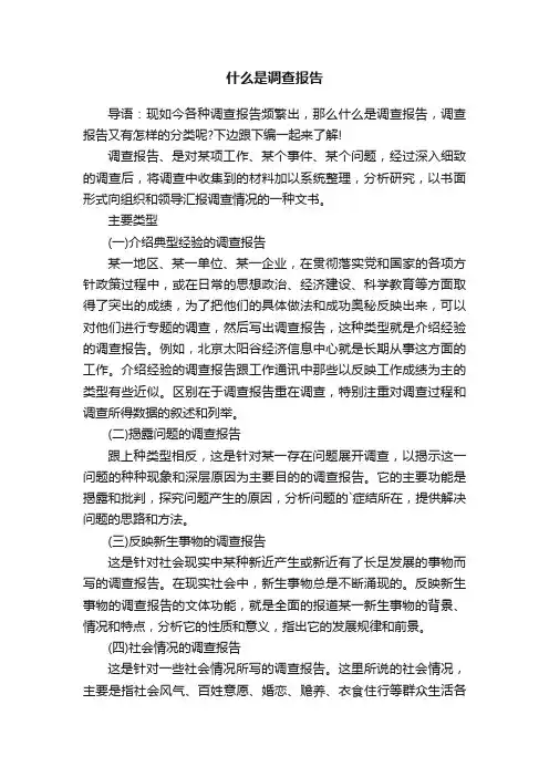 什么是调查报告