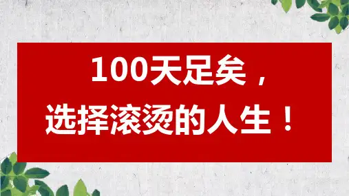 202X 20XX届高考冲刺100天主题班会PPT 课件模板