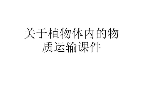 关于植物体内的物质运输课件课件