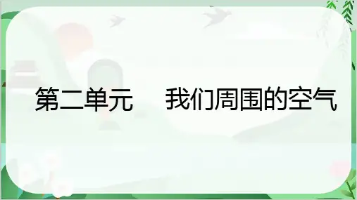 2024年中考化学总复习考点梳理第二单元 我们周围的空气