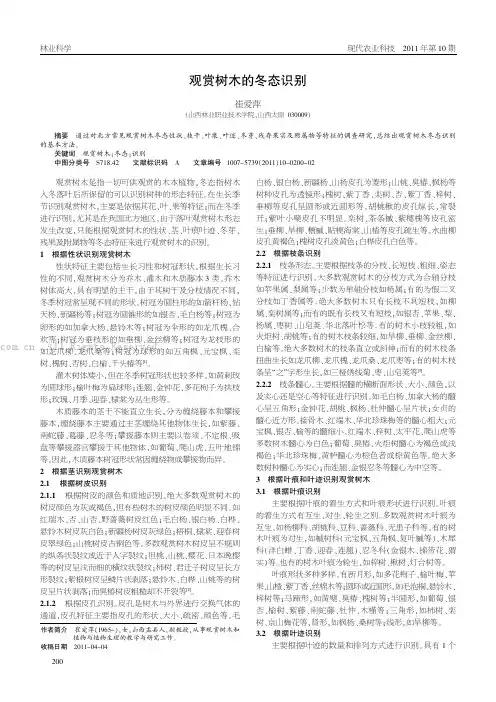 观赏树木的冬态识别