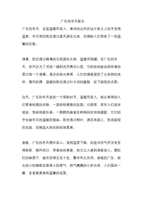 广东的冬天散文