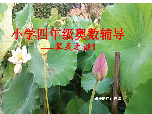 小学四年级奥数辅导——算式之谜