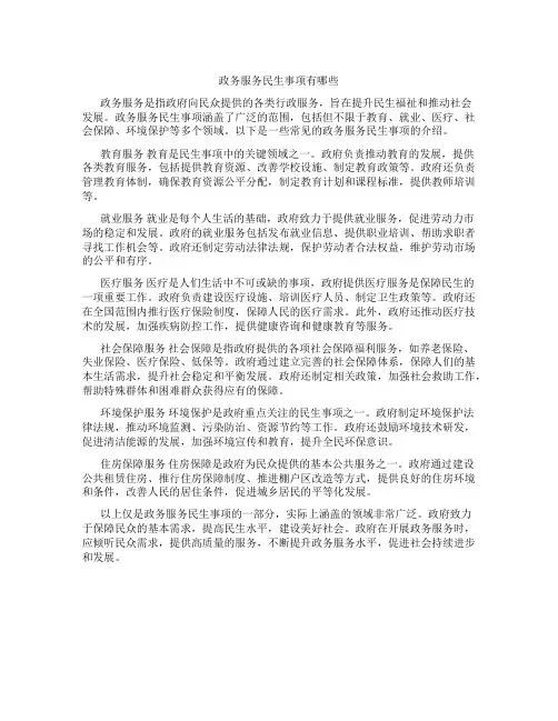 政务服务民生事项有哪些