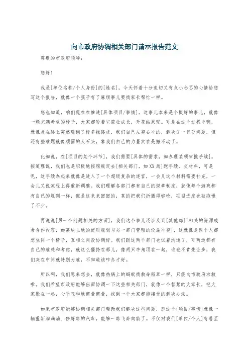 向市政府协调相关部门请示报告范文