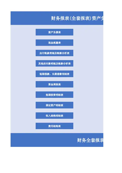财务报表(全套报表)Excel模板