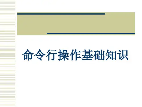 命令行操作基础知识