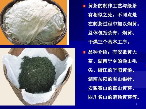 黄茶白茶和花茶