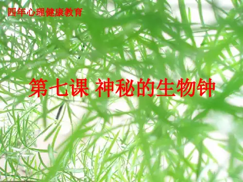 四年级上册心理健康课件-第七课 神秘的生物钟(共9张PPT)｜辽大版 