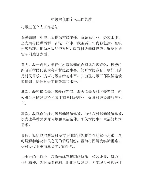 村级主任的个人工作总结
