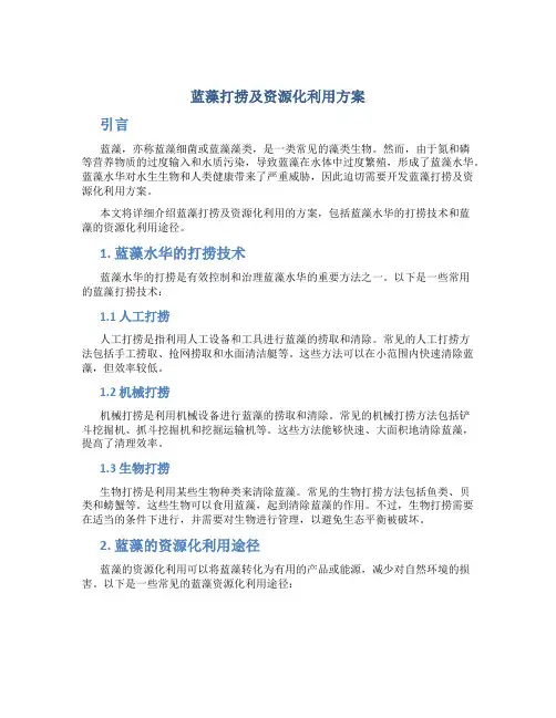 蓝藻打捞及资源化利用方案
