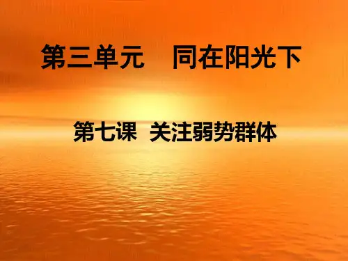 九年级政治_37《关注弱势群体》课件1_教科版