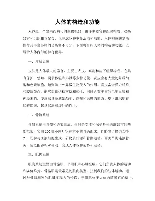 人体的构造和功能