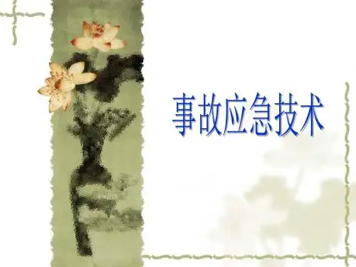 事故应急技术第一章 应急管理概论 PPT课件