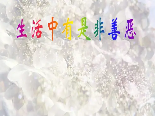 生活中的真善美PPT精品课件