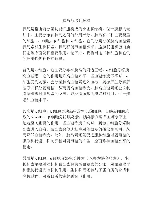 胰岛的名词解释