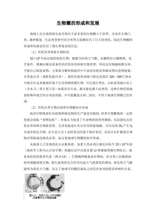 精品高中地理 生物圈的形成和发展