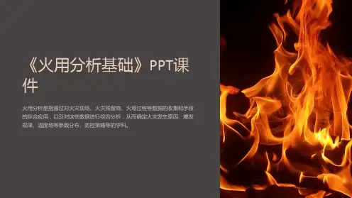《火用分析基础》课件
