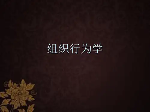 《组织行为学》全套课件 PPT