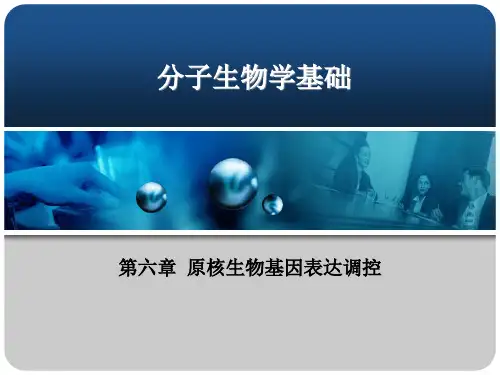 第六章 原核生物基因表达调控