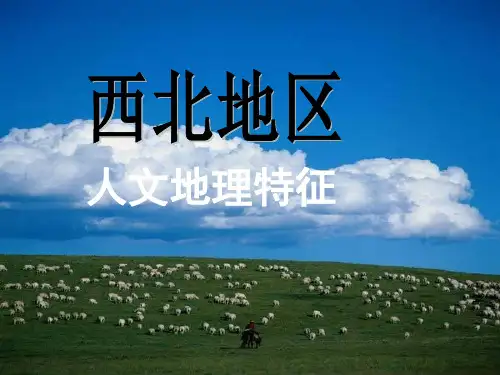 中国西北地区(人文地理特征)