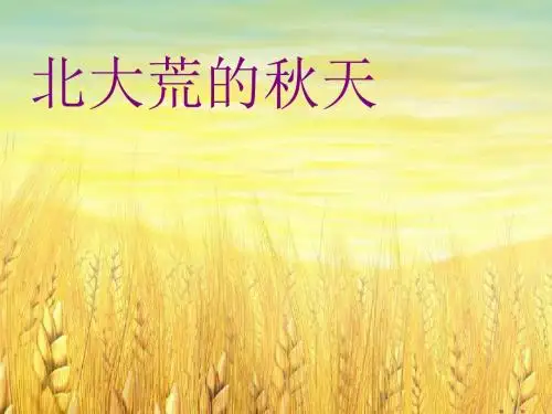 5北大荒的秋天