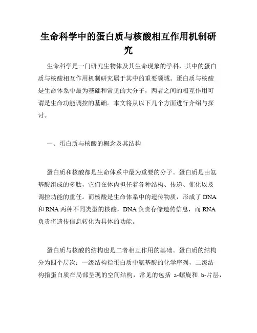 生命科学中的蛋白质与核酸相互作用机制研究