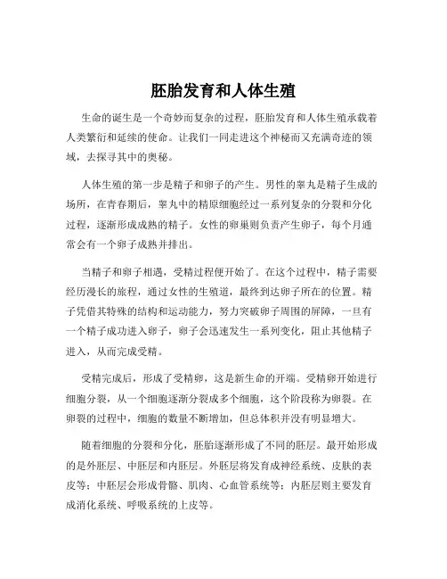 胚胎发育和人体生殖