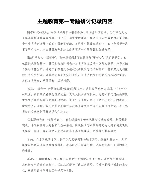 主题教育第一专题研讨记录内容