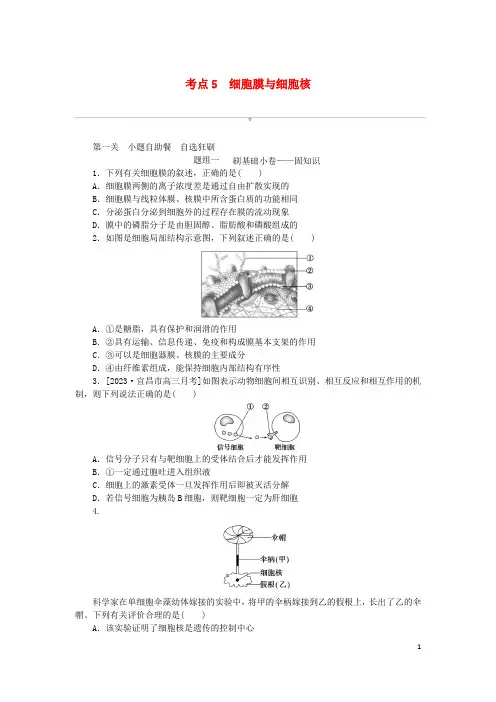 2024版新教材高考生物复习特训卷考点5细胞膜与细胞核