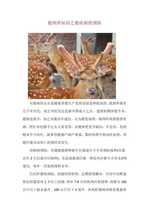 鹿饲养知识之鹿疾病的预防
