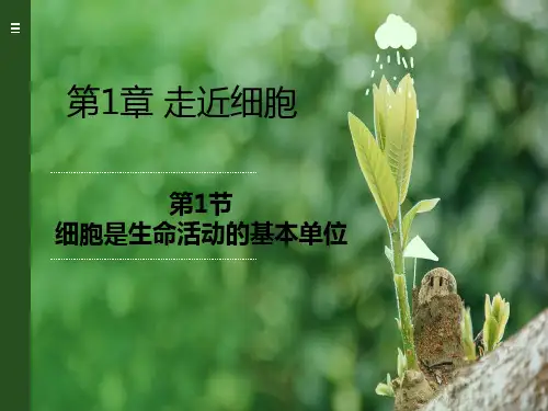 1.1 细胞是生命活动的基本单位 课件 【新教材】人教版(2019)高中生物必修一(共47张PPT)
