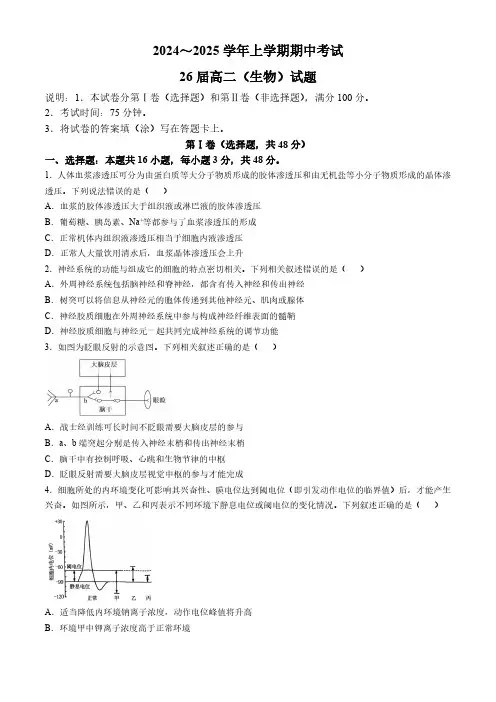 河南省郑州市第一中学2024-2025学年高二上学期期中考试生物试卷(含答案)