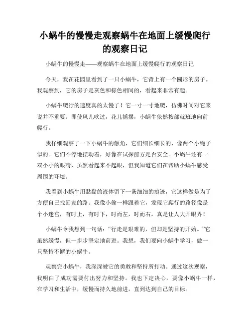 小学三年级作文小蜗牛的慢慢走观察蜗牛在地面上缓慢爬行的观察日记