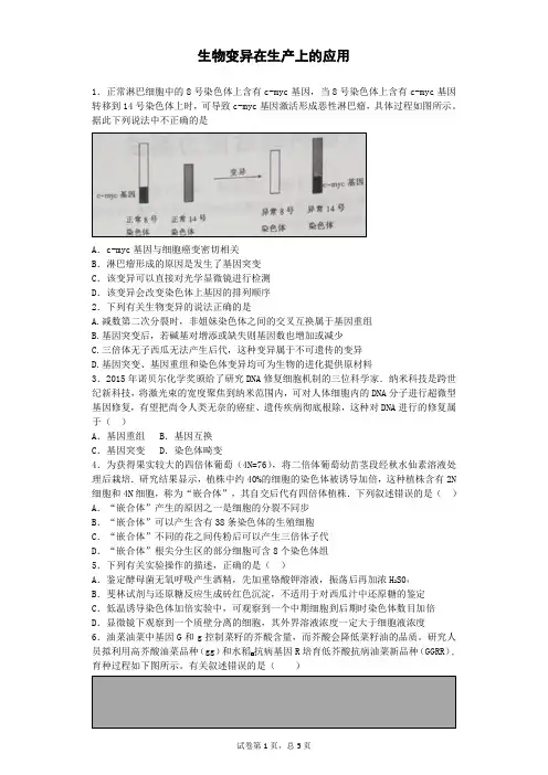 浙科版必修二  生物变异在生产上的应用  作业
