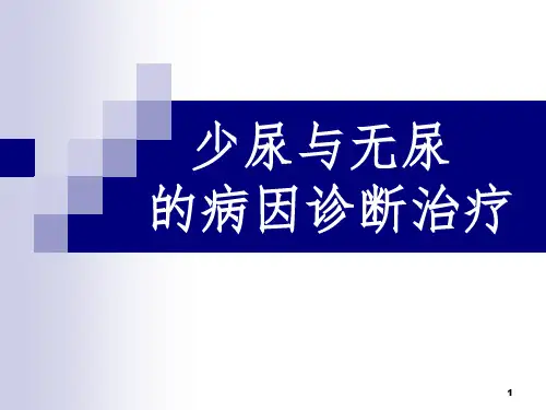 少尿与无尿  的病因诊断治疗