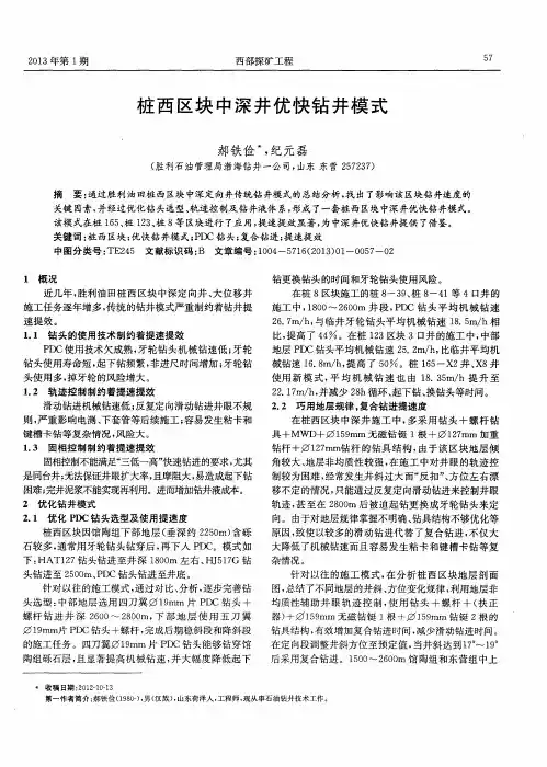 桩西区块中深井优快钻井模式