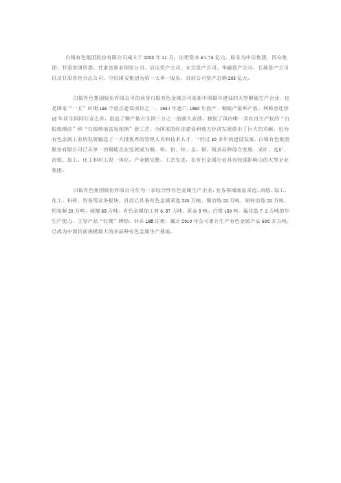 白银公司