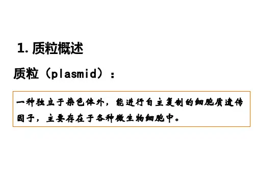 三质粒与载体ppt课件
