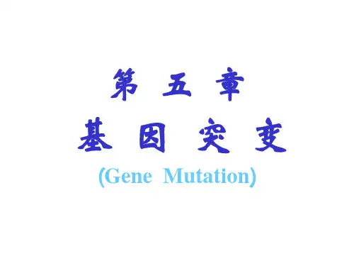 第五章-基因突变
