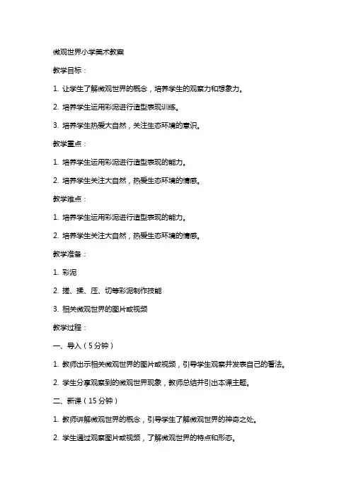 微观世界小学美术教案