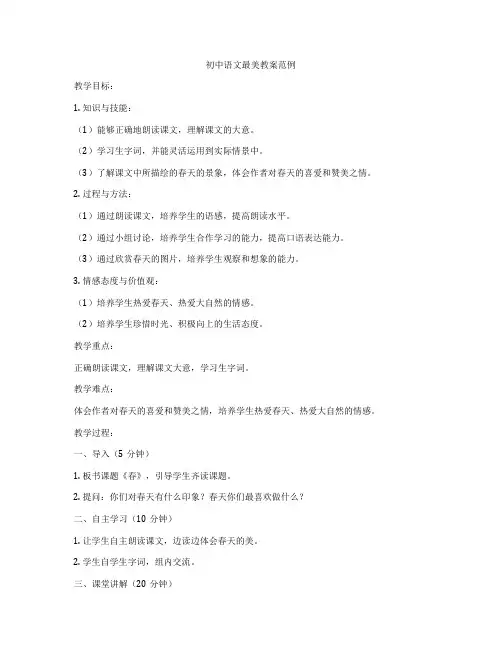 初中语文最美教案范例