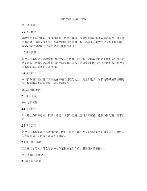 养护专项工程施工方案