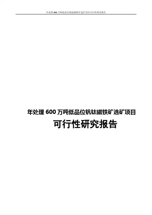 年处理600万吨低品位钒钛磁铁矿选矿项目可行性研究报告