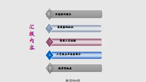 果浆工艺流程PPT课件