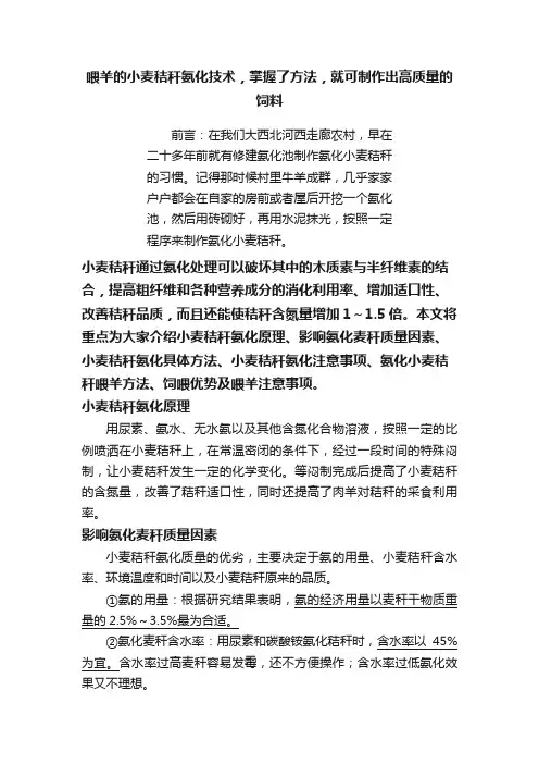 喂羊的小麦秸秆氨化技术，掌握了方法，就可制作出高质量的饲料