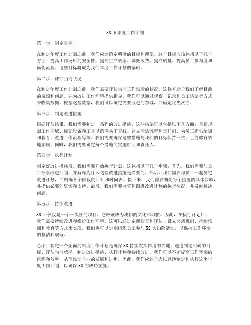 5S下年度工作计划