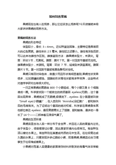 如何饲养果蝇