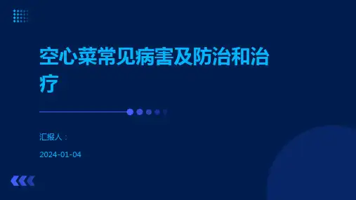 空心菜常见病害及防治和治疗