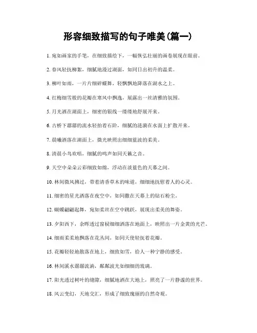 形容细致描写的句子唯美(精选两篇)